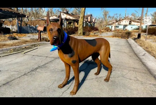 What Kind of Dog Is Scooby Doo? All You need to know