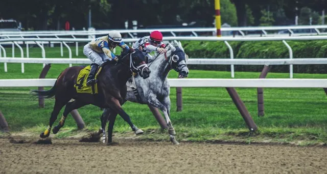 How Does Sports Betting Work: a Guide for Pakistani Punters