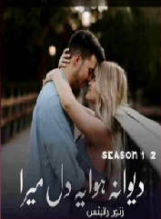 Deewana Hua Ye Dil Mera Season 1 & 2 Cover