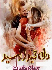 Dil Tera Aseer Cover