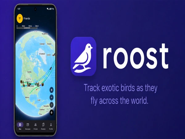 Roost, the pigeon-speed messaging app, is rapidly becoming popular among young people