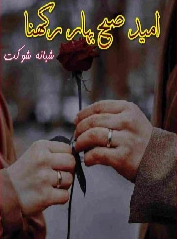 Umeed e Subah e Bahar Rakhna Cover